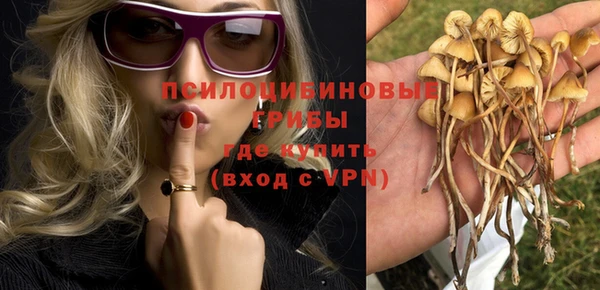 таблы Верхний Тагил