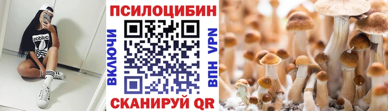 Галлюциногенные грибы Psilocybe  ОМГ ОМГ вход  Волчанск 